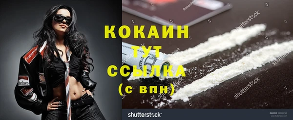 мет Лагань