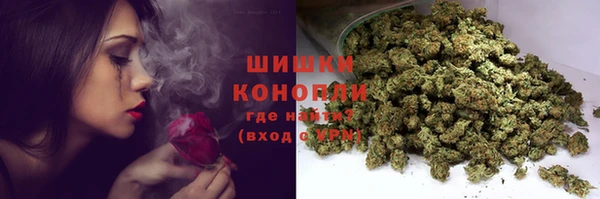 мет Лагань