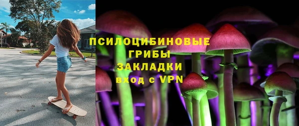 спиды Лиски