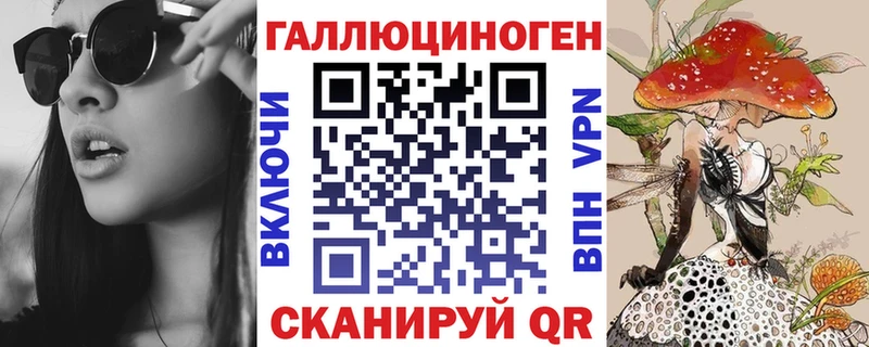 Галлюциногенные грибы Psilocybe  Луга 